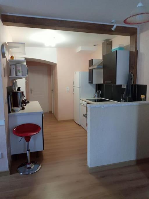 Residence Gascogne, Appartement Rose Boreal Eaux-Bonnes Extérieur photo