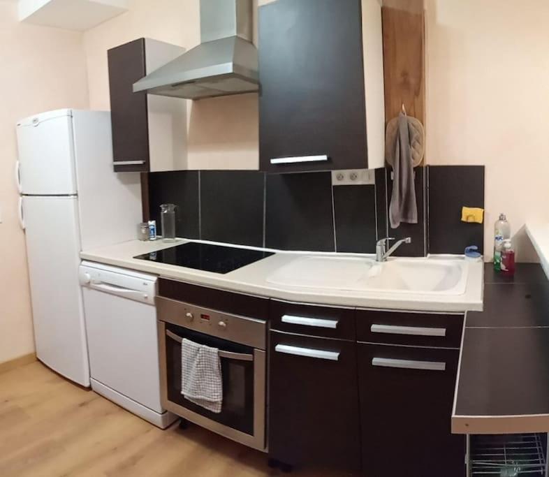 Residence Gascogne, Appartement Rose Boreal Eaux-Bonnes Extérieur photo